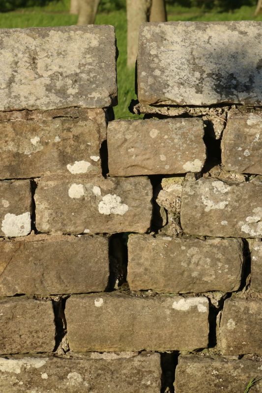 Stone Column Repair in Denton, TX