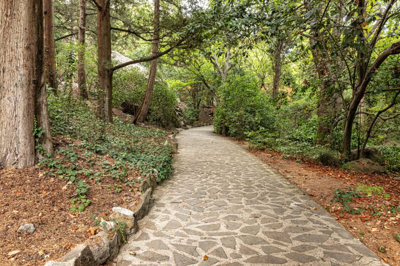Stone Walkway Repair in Denton, TX